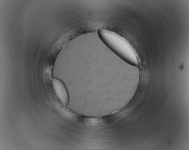 X0000114620286200912011008