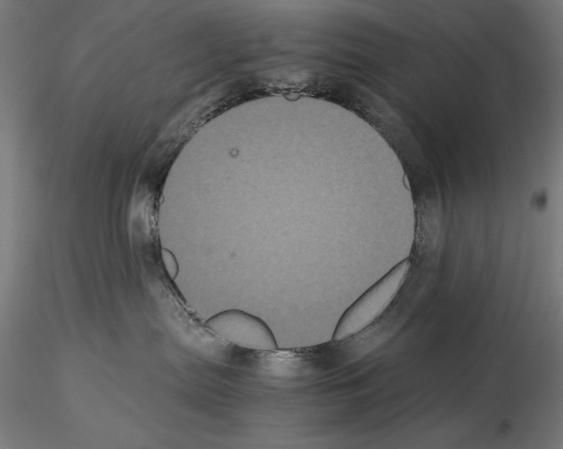 X0000114620287200912011008