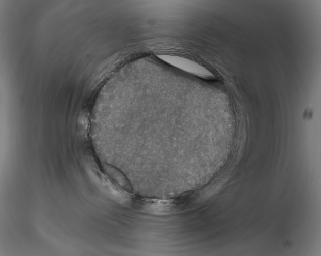 X0000114620288200912011008