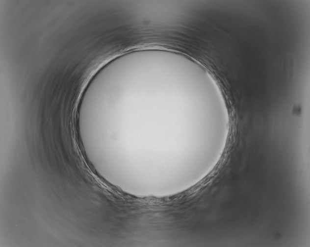 X0000114620289200912011007