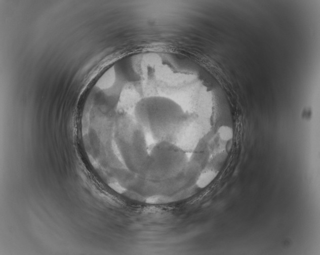 X0000114620290200912011007