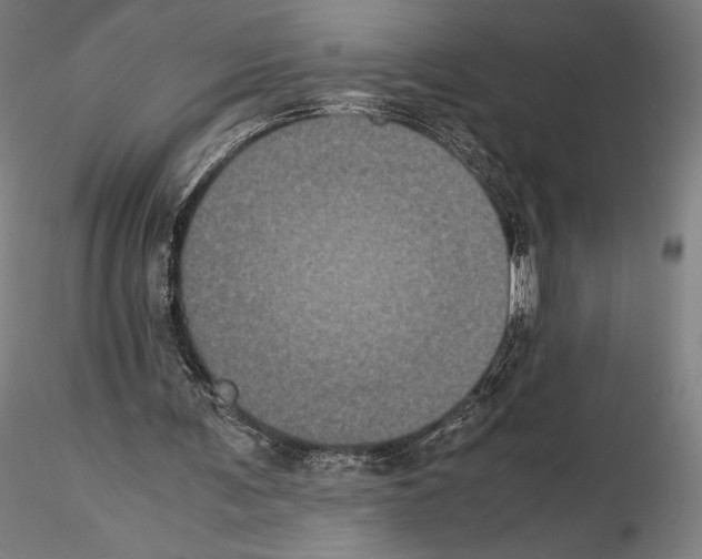 X0000114620291200912011007