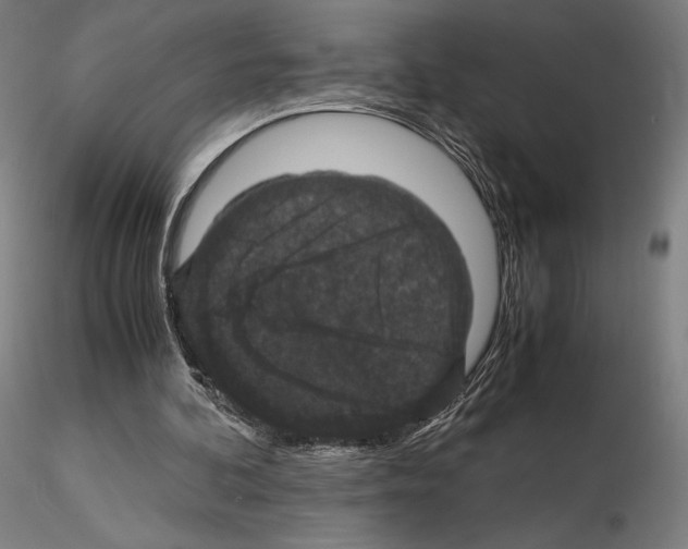 X0000114620292200912011007