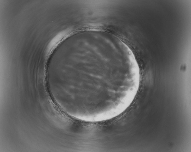 X0000114620293200912011007