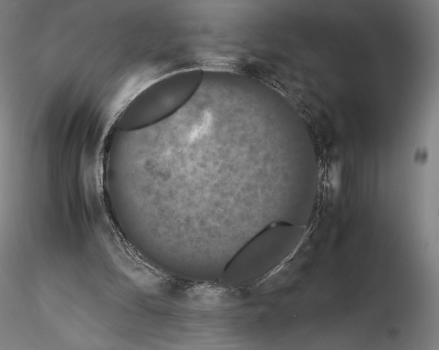 X0000114620294200912011007