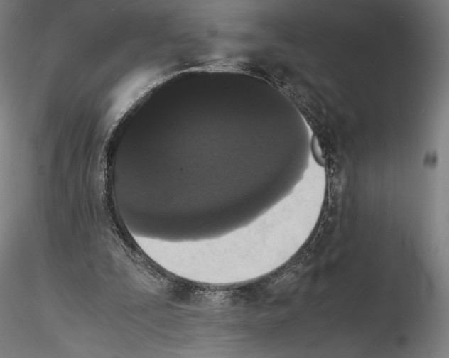 X0000114620295200912011007