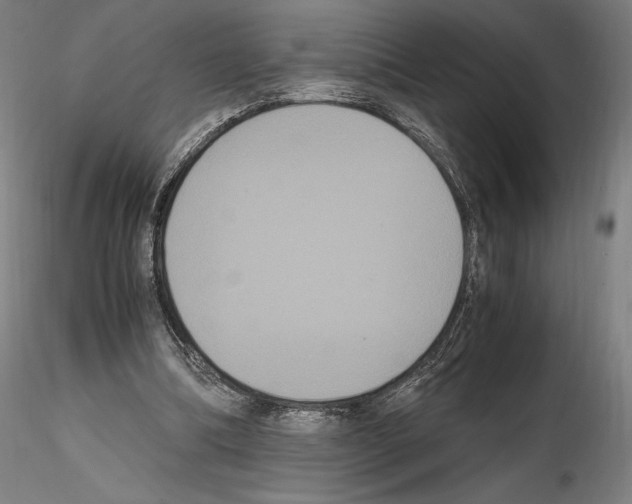 X0000114620298200912011007