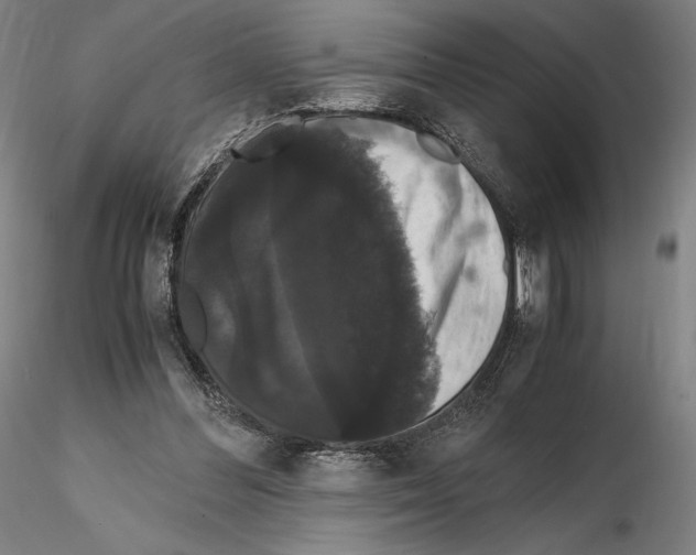 X0000114620300200912011007