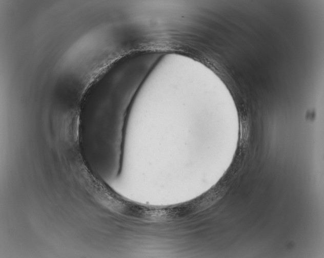 X0000114620301200912011007