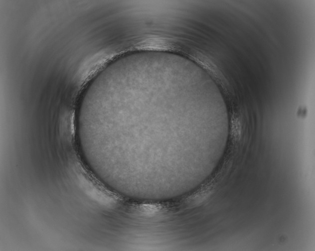 X0000114620302200912011007