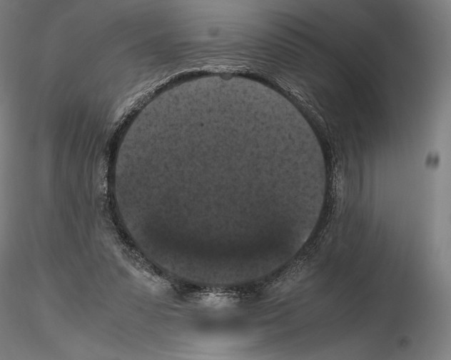 X0000114620303200912011007