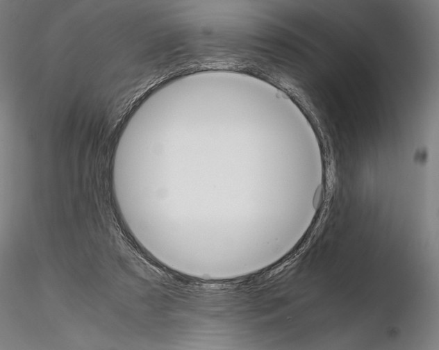 X0000114620305200912011007