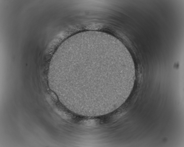 X0000114620307200912011007