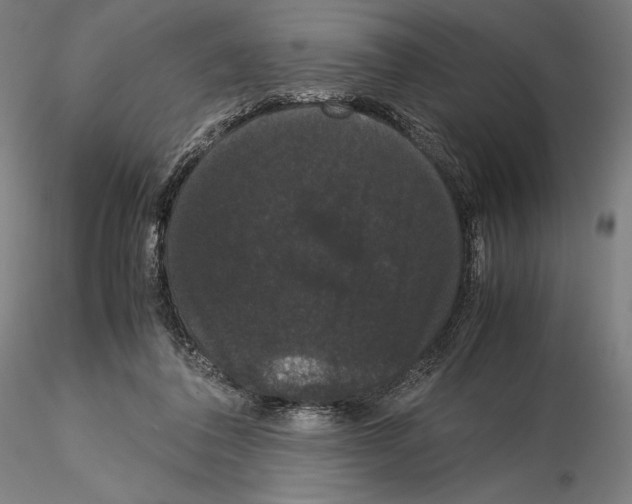 X0000114620308200912011007