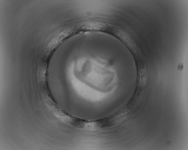 X0000114620309200912011007