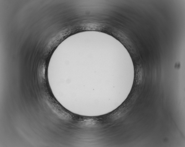 X0000114620310200912011007