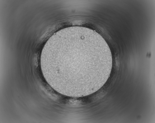 X0000114620311200912011007