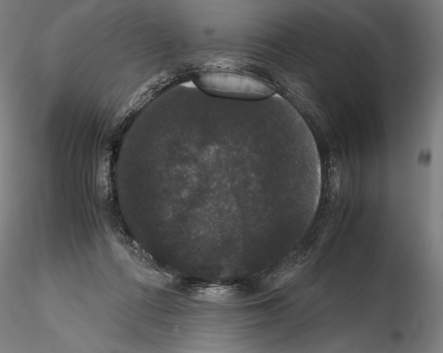 X0000114620312200912011007