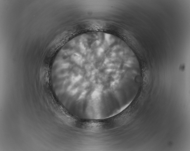 X0000114620313200912011007