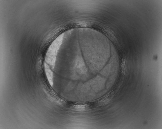 X0000114620314200912011007