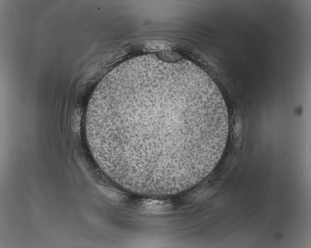 X0000114620315200912011007