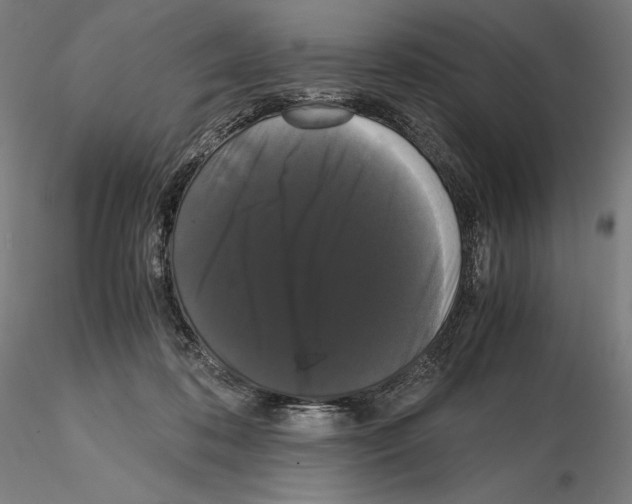 X0000114620316200912011007