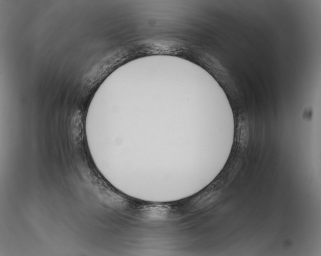 X0000114620318200912011007