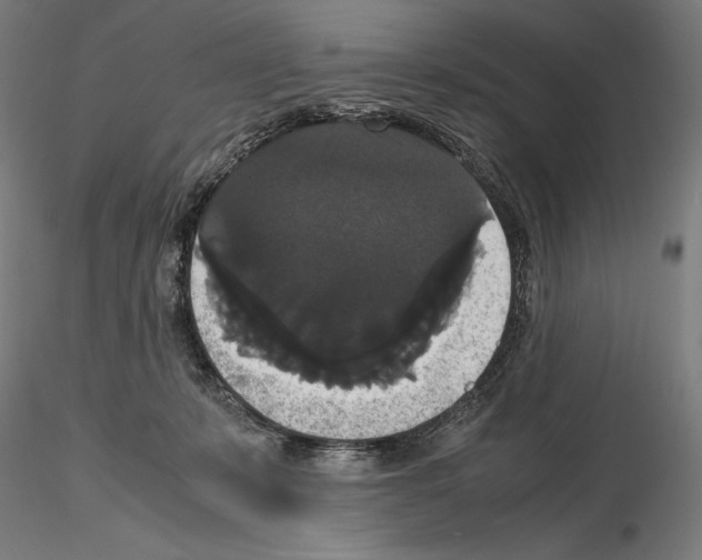 X0000114620319200912011007