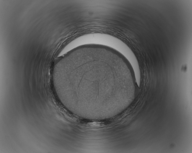 X0000114620320200912011007