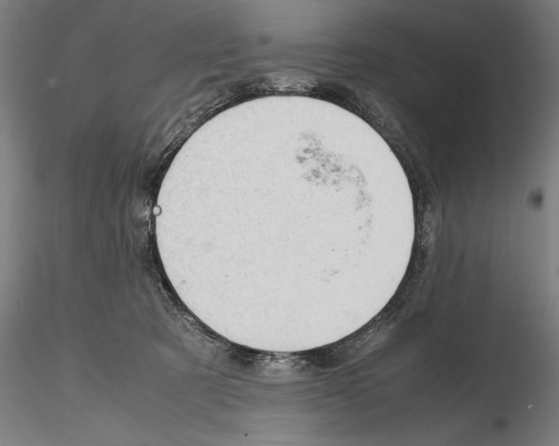 X0000114620321200912011007