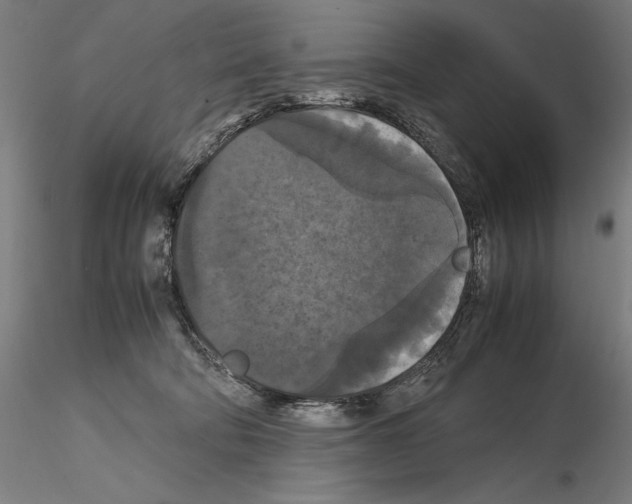 X0000114620322200912011007