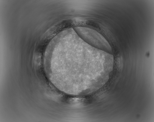 X0000114620323200912011007