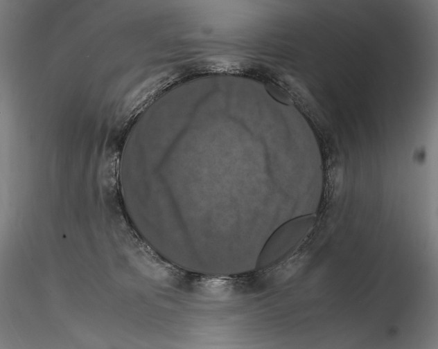 X0000114620325200912011007