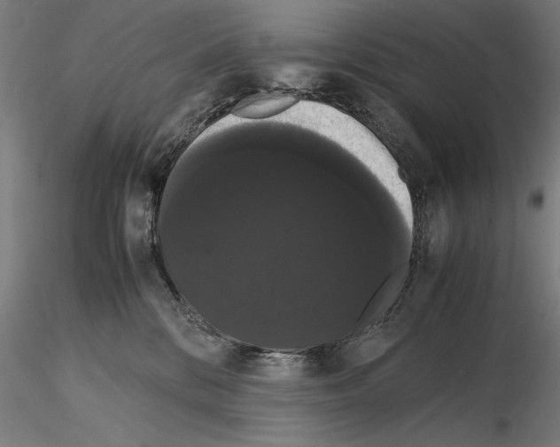 X0000114620328200912011007