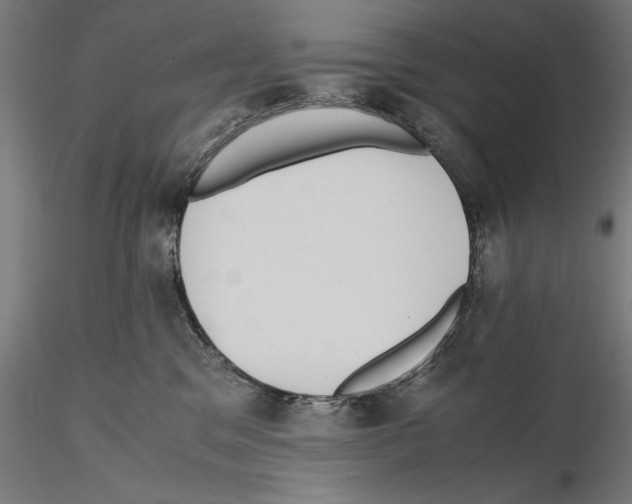 X0000114620329200912011007