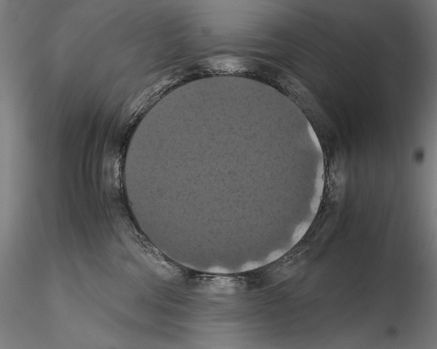 X0000114620330200912011007