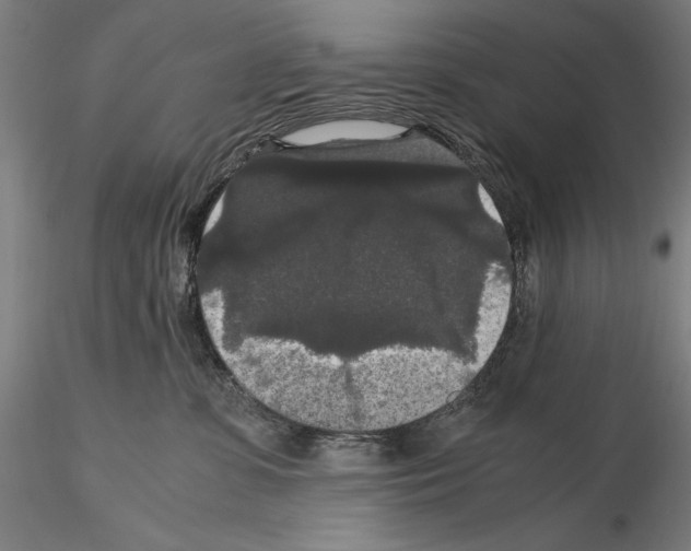 X0000114620331200912011007