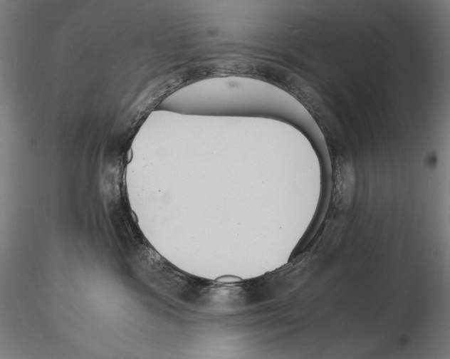 X0000114620333200912011007