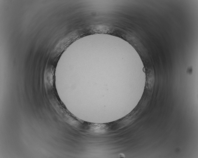 X0000114620334200912011007