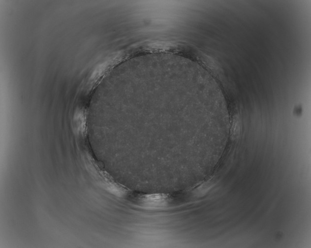 X0000114620335200912011007