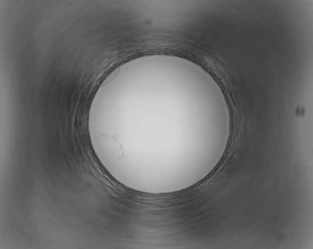 X0000114620336200912011007