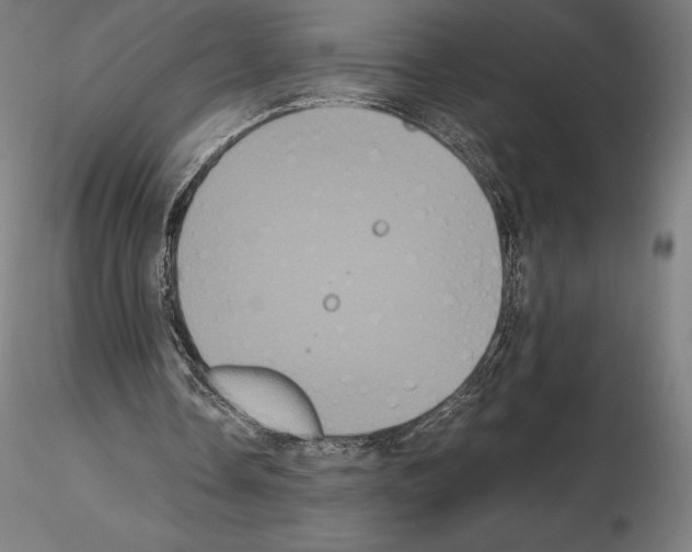 X0000114620338200912011006