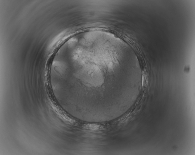 X0000114620339200912011006