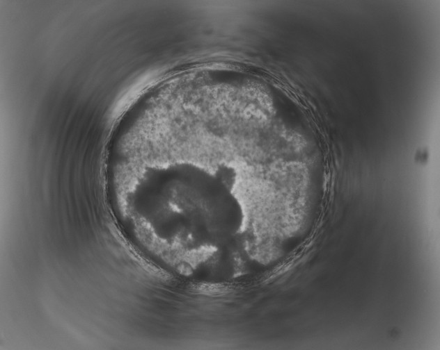 X0000114620341200912011006