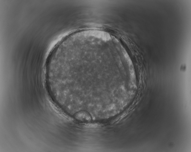 X0000114620342200912011006