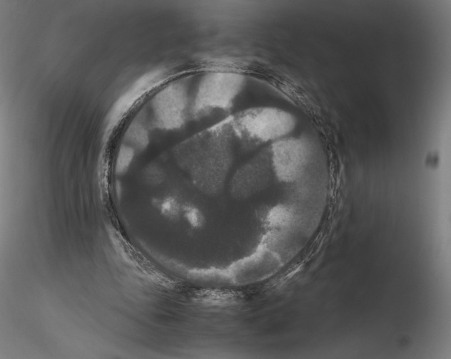 X0000114620343200912011006