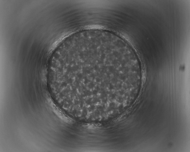 X0000114620345200912011006