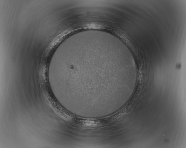 X0000114620347200912011006