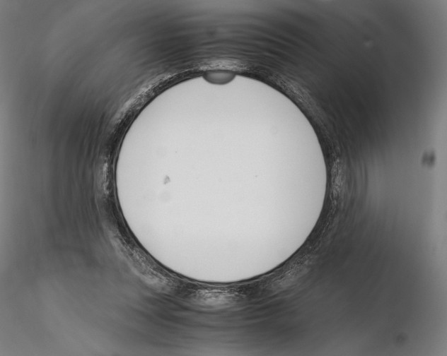 X0000114620351200912011006