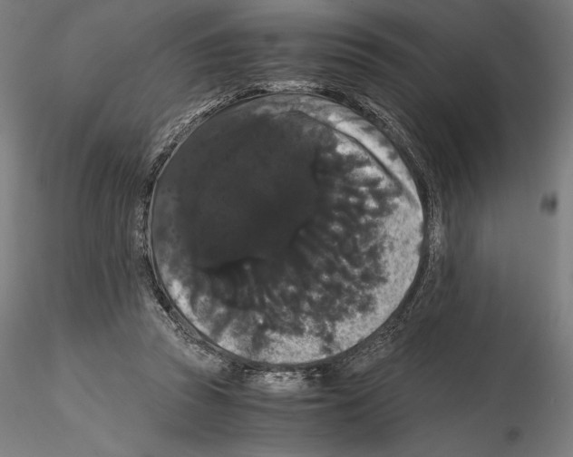 X0000114620353200912011006